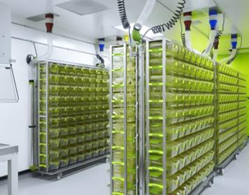 南京大學(xué)1.png 南京大學(xué)1.png