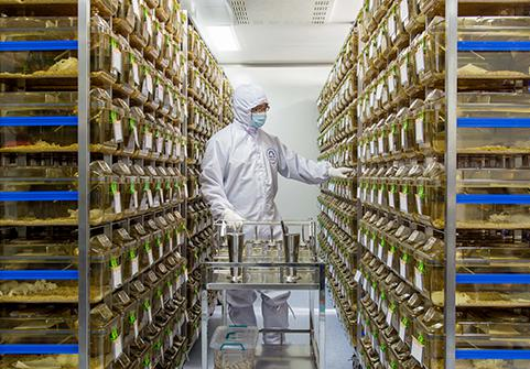 南京大學(xué)2.png 南京大學(xué)2.png