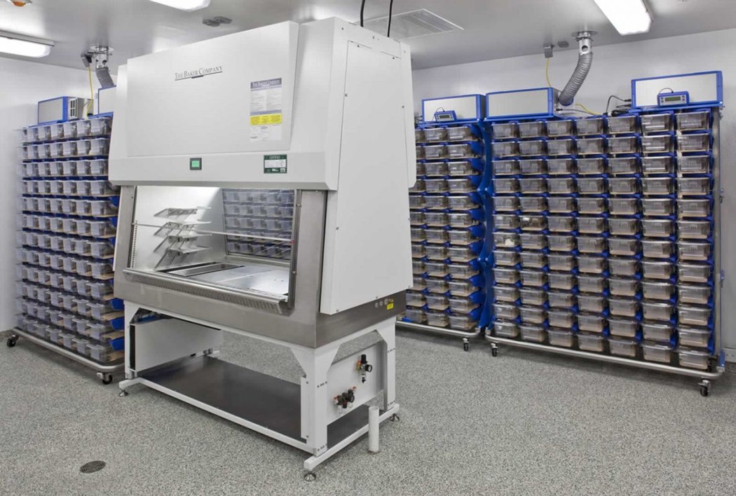 SPF動(dòng)物實(shí)驗(yàn)室建設(shè)哪家好