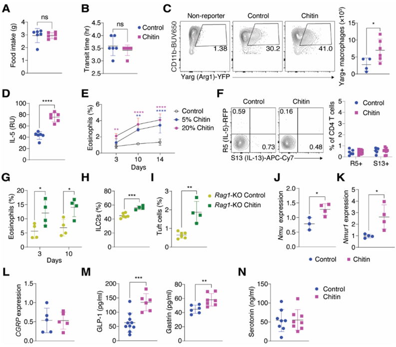 Science:發(fā)現(xiàn)攝入幾丁質(zhì)會(huì)激活哺乳動(dòng)物的免疫系統(tǒng)、降低體內(nèi)脂肪含量和抵抗肥胖(圖3) p18.png