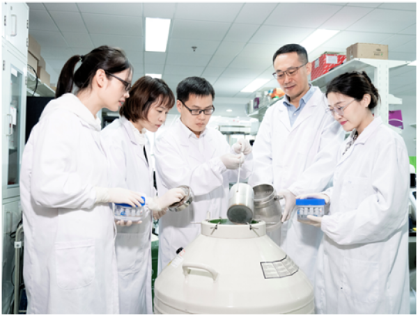 國際首次！中國科學家成功構建胚胎干細胞嵌合體猴(圖2)