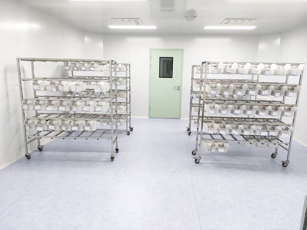 狨猴麻醉指導(dǎo)原則（以異氟烷麻醉為例）