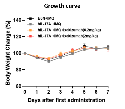 銀屑病靶向藥物評價模型—B6-hIL-17A小鼠(圖4) 銀屑病靶向藥物評價模型—B6-hIL-17A小鼠(圖4)