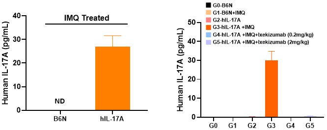 銀屑病靶向藥物評價模型—B6-hIL-17A小鼠(圖6) 銀屑病靶向藥物評價模型—B6-hIL-17A小鼠(圖6)