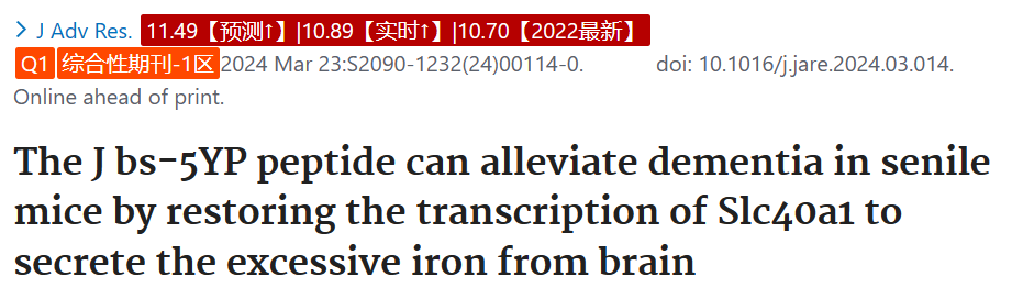 JBS-5YP肽可以減輕老年小鼠的癡呆(圖1) p111.png