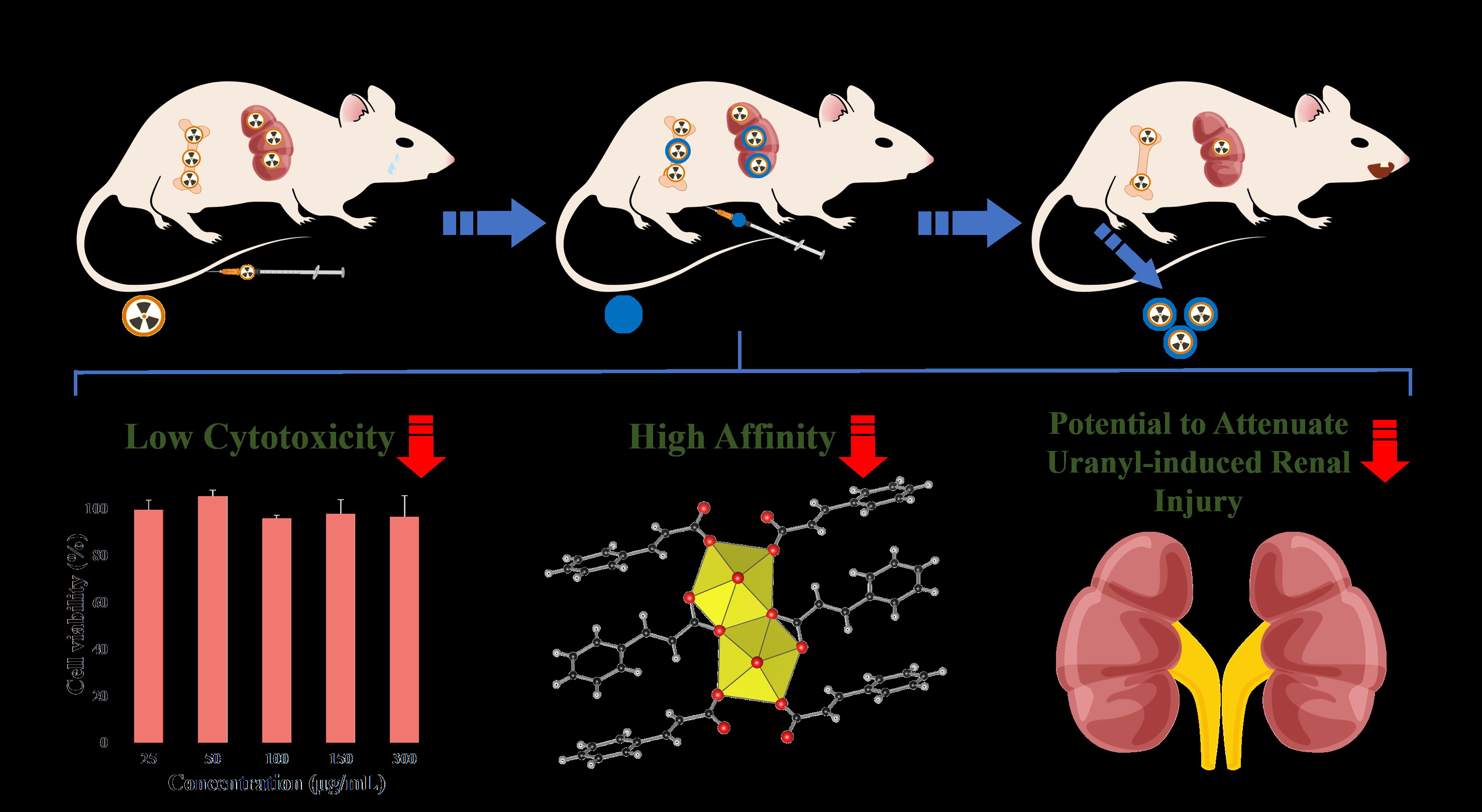 我國(guó)學(xué)者發(fā)現(xiàn)傳統(tǒng)中草藥對(duì)放射性核素內(nèi)污染促排有重要作用—新聞—科學(xué)網(wǎng)(圖1) 我國(guó)學(xué)者發(fā)現(xiàn)傳統(tǒng)中草藥對(duì)放射性核素內(nèi)污染促排有重要作用—新聞—科學(xué)網(wǎng)(圖1)