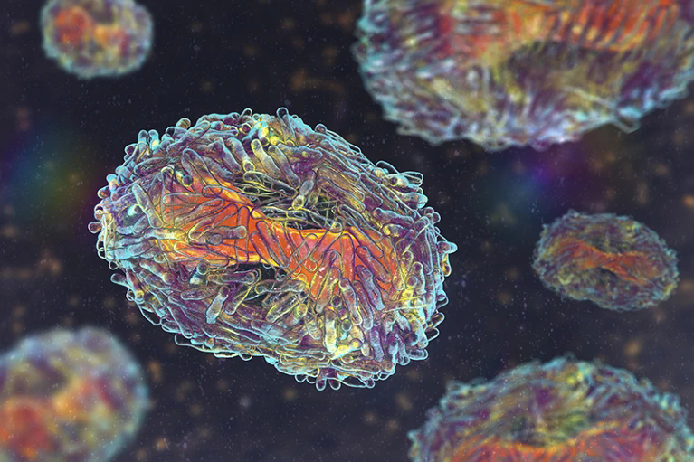 世界衛生組織發布重點病原體清單(圖1) p11.png