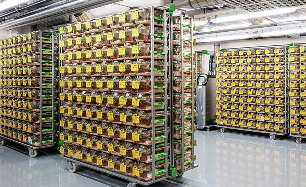 動物房設計裝修(圖1) 吉林大學.jpg